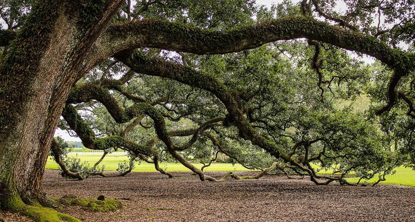 手机号呼叫轰炸app